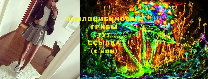 Псилоцибиновые грибы Psilocybine cubensis  Лермонтов 